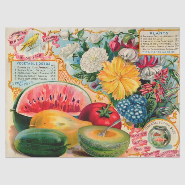 Papel De Seda Old fashioned vegetable fruit flower seed advertis (Anverso)