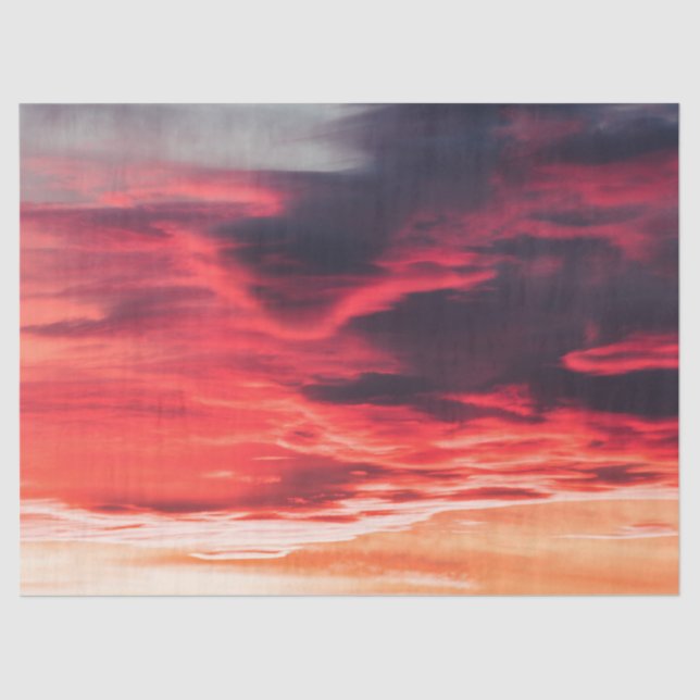 Papel De Seda onda felina (Anverso)