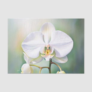 Papel De Seda Orquídea blanca de color de agua con Petelitos Del