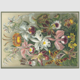 Papel De Seda Orquídea Floral Ernst Haeckel Decoupage