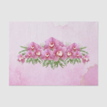 Orquídea Rosa bonito