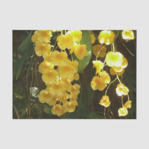 Papel De Seda Orquídeas Amarillas colgando flores tropicales
