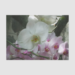 Papel De Seda Orquídeas blancas y moradas