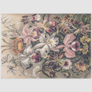Papel De Seda Orquídeas de Ernst Haeckel Decoupage
