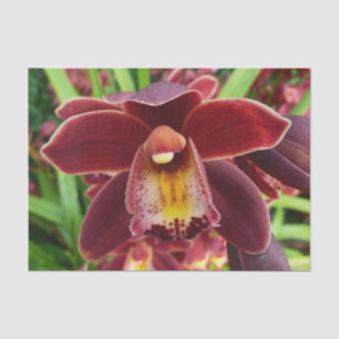 Papel De Seda Orquídeas Maroon I Hermosa Floral Roja