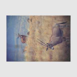 Papel De Seda Oryx en África