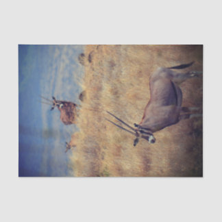 Papel De Seda Oryx en África