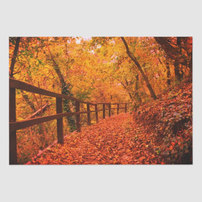 Papel De Seda Otoño Cae El Envoltorio De Regalo Moderno Deja Nar (Anverso)