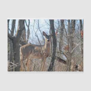 Papel De Seda Otoño de Deer Woods