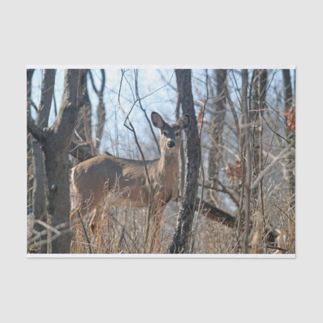 Papel De Seda Otoño de Deer Woods (Anverso)