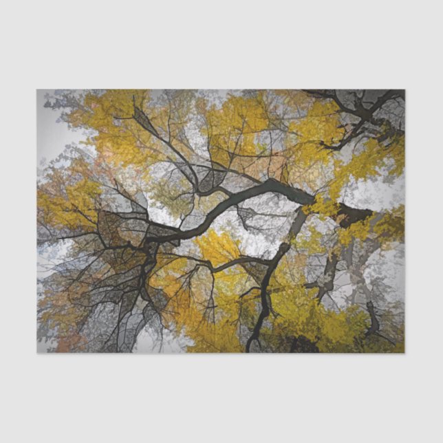 Papel De Seda Otoño El Gris Amarillo Deja Cielo (Anverso)