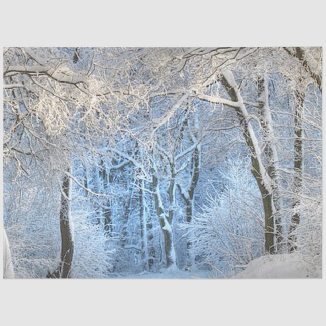 Papel De Seda otra maravilla de invierno (Anverso)