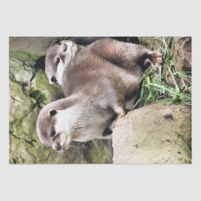 PAPEL DE SEDA OTTERS (Anverso)