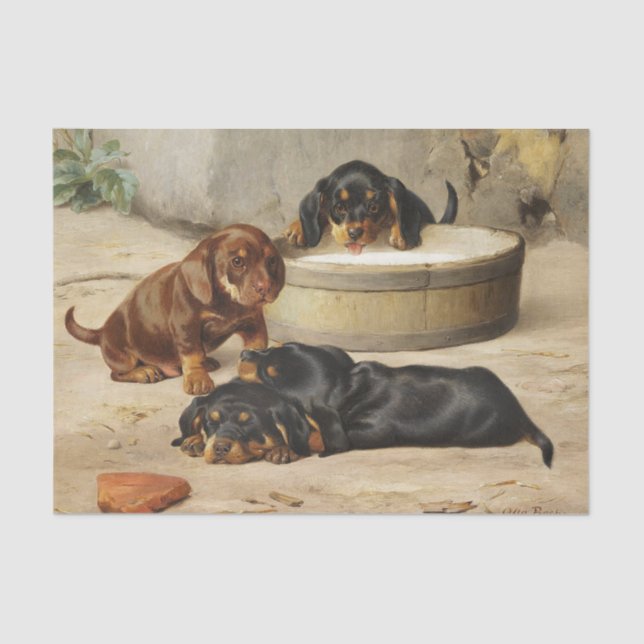 Papel De Seda Otto Bache | Cachorros de Dachshund (Anverso)