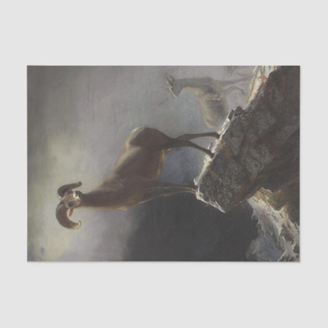 Papel De Seda Oveja de montaña rocosa por Albert Bierstadt Decou (Anverso)