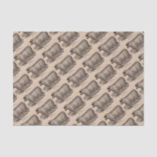 Papel De Seda Ovejas de algodón del siglo XIX