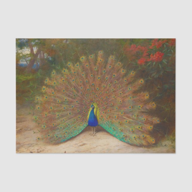 Papel De Seda Pacocks Peafowl Botánico Vintage (Anverso)