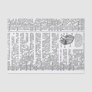 Papel De Seda Página de Diccionario