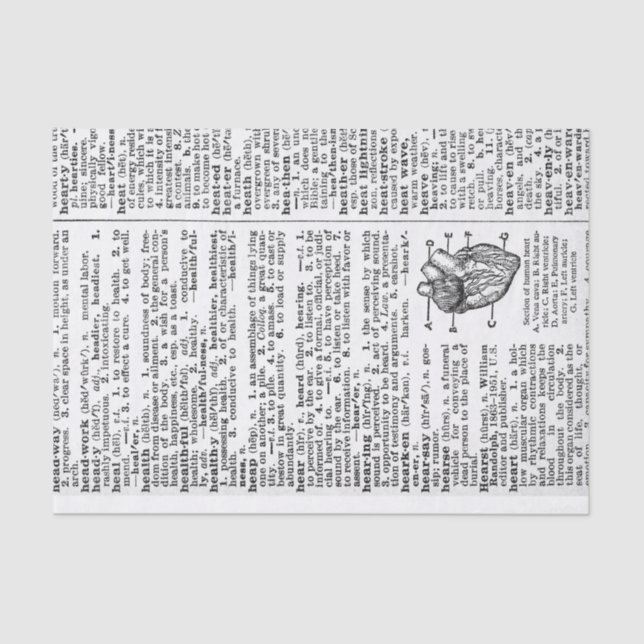 Papel De Seda Página de Diccionario (Anverso)