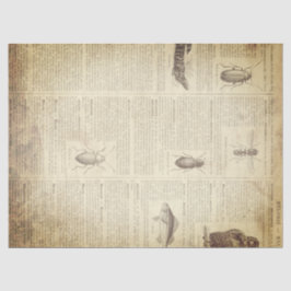 Papel De Seda Página francesa del diccionario del Grunge