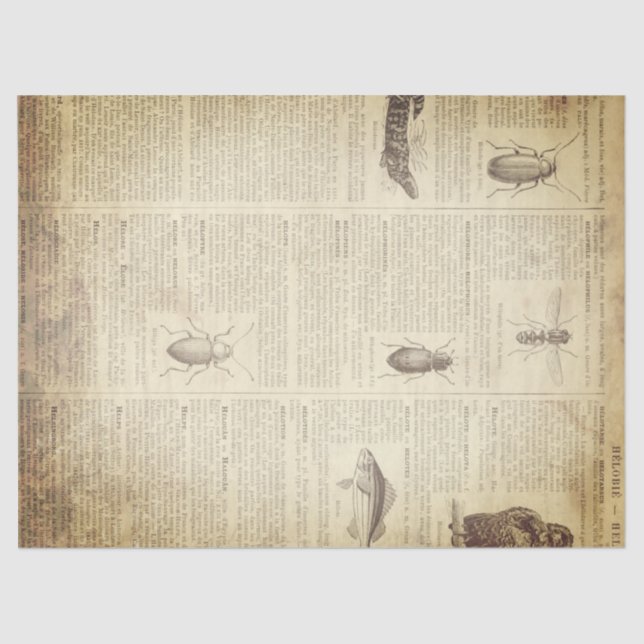 Papel De Seda Página francesa del diccionario del Grunge (Anverso)