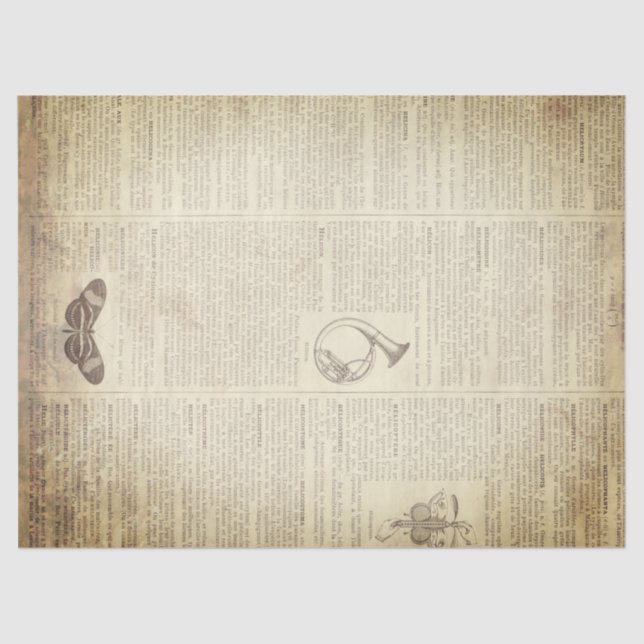 Papel De Seda Página francesa del diccionario del Grunge (Anverso)