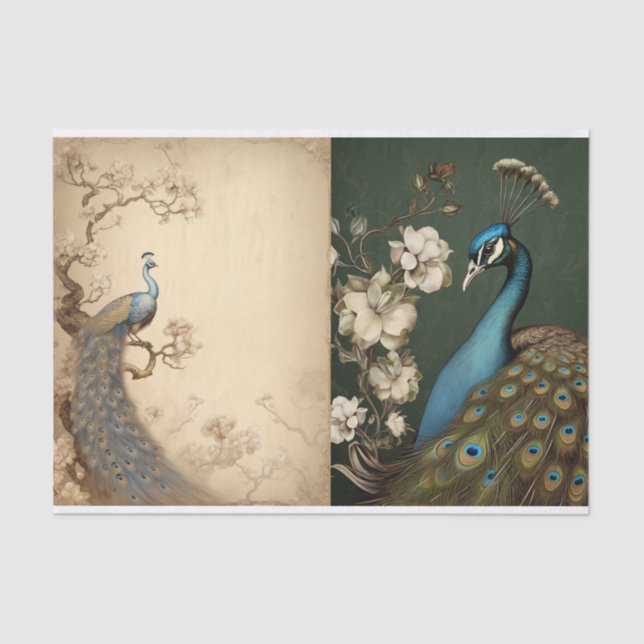 Papel De Seda Página Tejido de Peacock (Anverso)