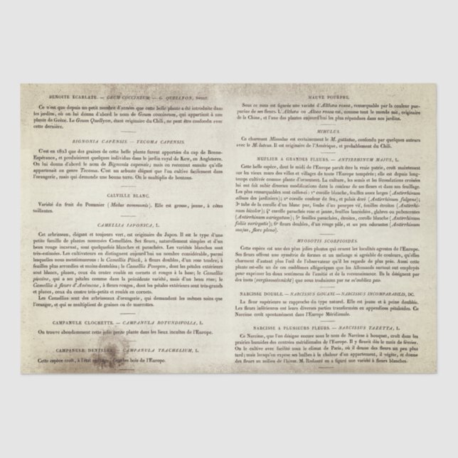 Papel De Seda Páginas antiguas de libros botánicos franceses (Anverso)