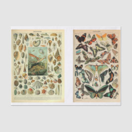 Papel De Seda Páginas Millet