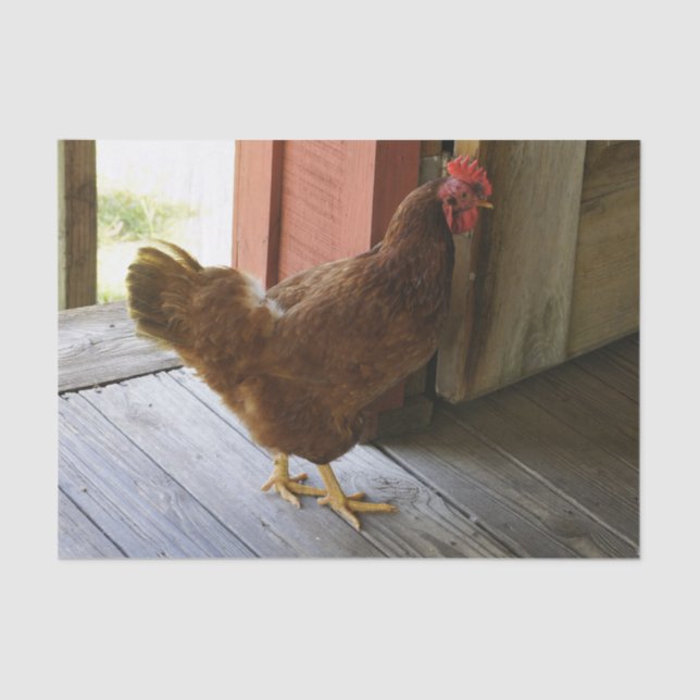 Papel De Seda País (Anverso)