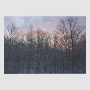 Papel De Seda Paisaje de la Naturaleza del Sol Invierno I Pastel