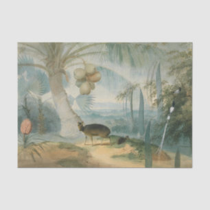 Papel De Seda Paisaje en Ceilán por Samuel Daniell