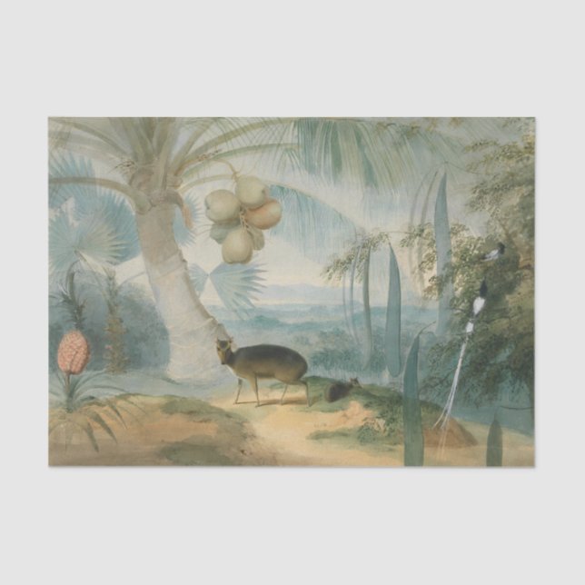 Papel De Seda Paisaje en Ceilán por Samuel Daniell (Anverso)