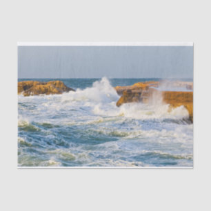 Papel De Seda Paisaje marino