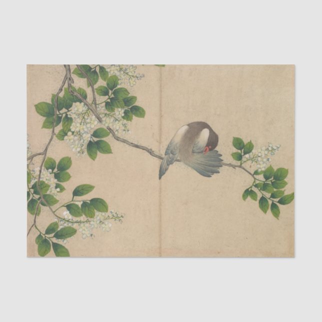 Papel De Seda Pájaro acicalándose de Zhang Ruoai (Anverso)