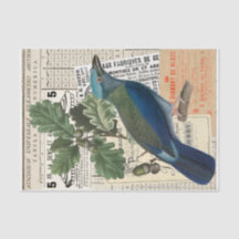 Pájaro Azul | Decoupage de Efímera de Roble Collag