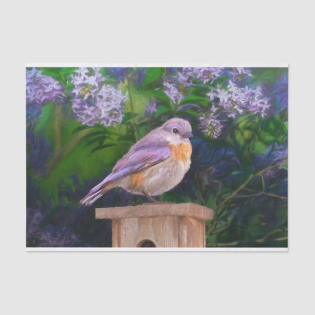 Papel De Seda Pájaro azul oriental en nieve - Fotografía origina (Anverso)