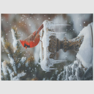 Papel De Seda Pájaro Cardinal Rojo en un Baño de Pájaros Congela