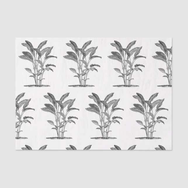 Papel De Seda Pájaro de la planta de paraíso (Anverso)