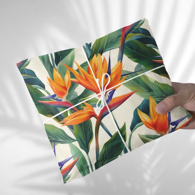 Papel De Seda Pájaro del ajuste de regalo del paraíso (Subido por el creador)
