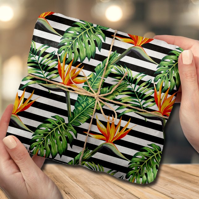 Papel De Seda Pájaro del paraíso franjas blancas negras (Subido por el creador)