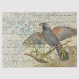 Papel De Seda Pájaro vintage en la sucursal con escritura de des