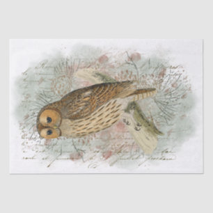 Papel De Seda Pájaros de búho de Tawny Pinecone Descodificación