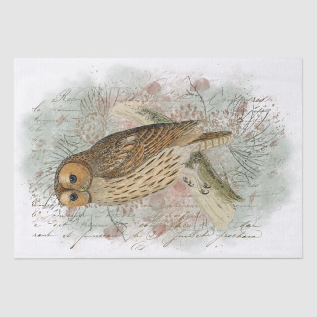 Papel De Seda Pájaros de búho de Tawny Pinecone Descodificación  (Anverso)