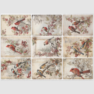 Papel De Seda Pájaros de invierno nueve