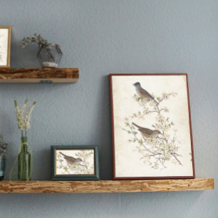 Papel De Seda Pájaros en la división floreciente de pergamino