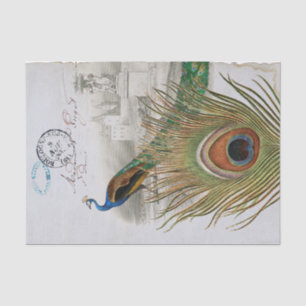 Papel De Seda Pájaros Pájaros Pájaros Azul Postmark Castillo Fra