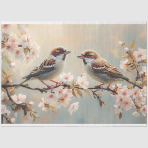 Papel De Seda Pájaros Pinzón en una Rama de Flor de Cerezo Decou