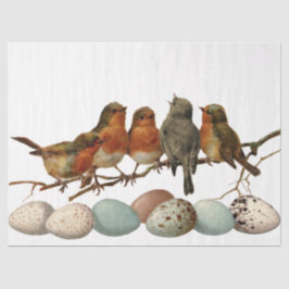 Papel De Seda Pájaros y huevos vintage estilo Robin Decoupage eu