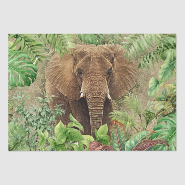 Papel De Seda Palm tropical elefante (Anverso)